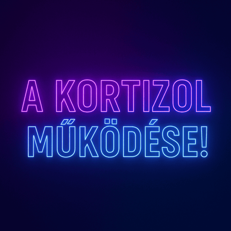 Hogy működik a Kortizol?